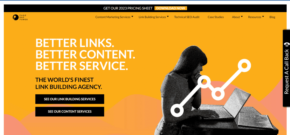 PageOnePower custom link building campaigns agency