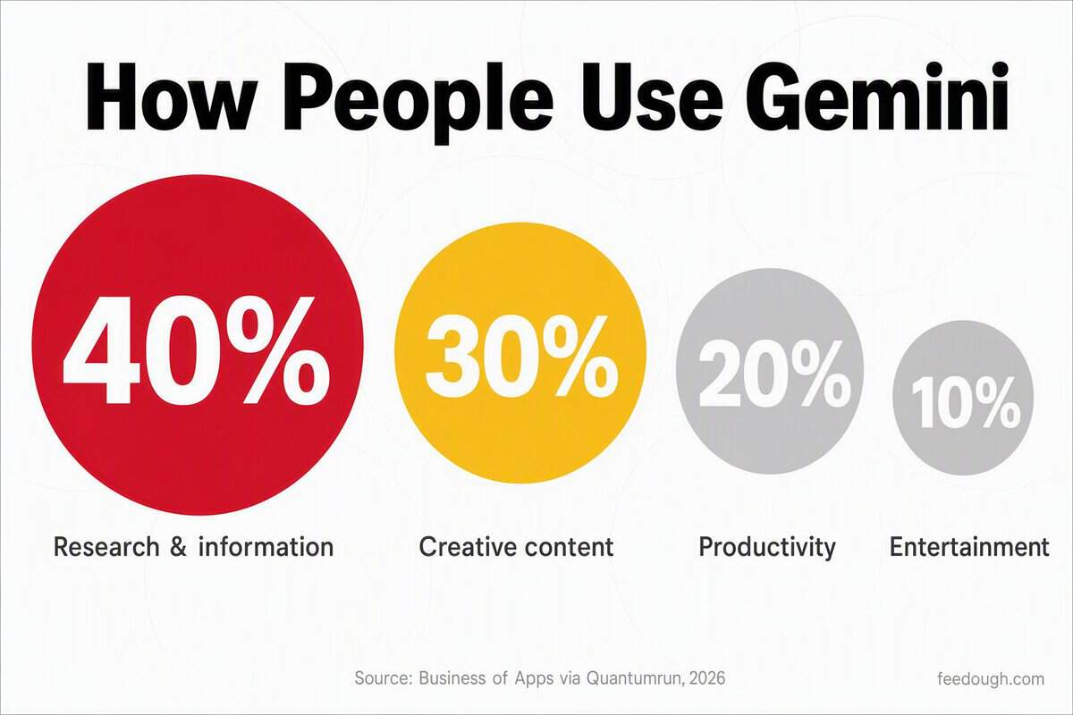 Gemini User Demographics Statistics