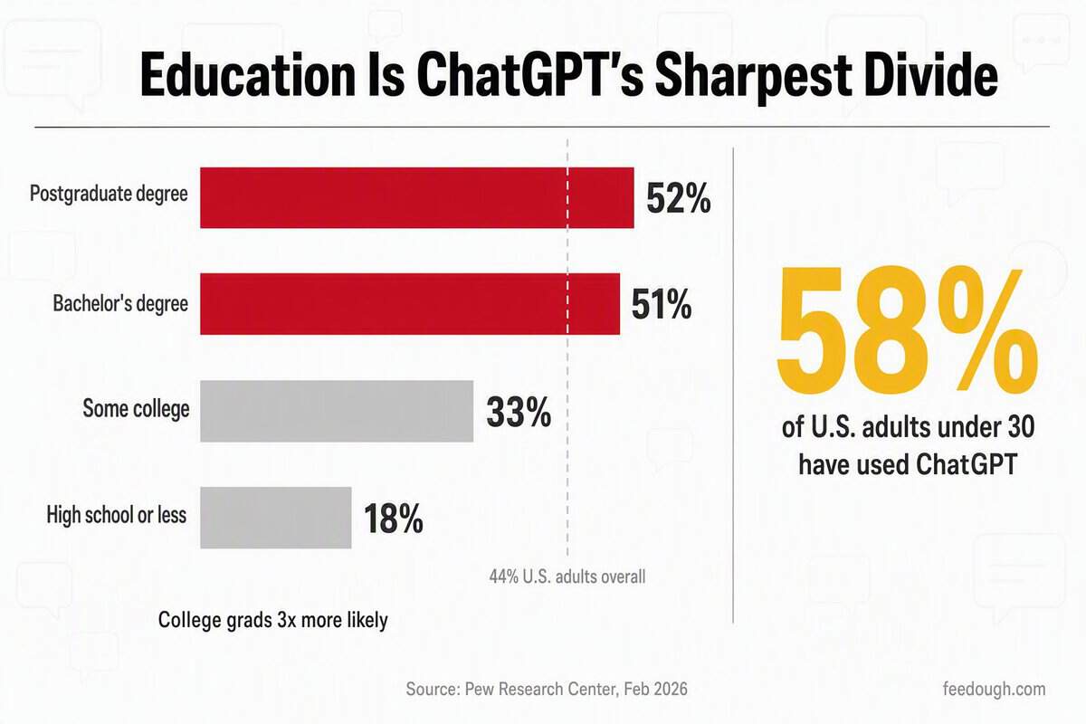 ChatGPT User Demographics Statistics