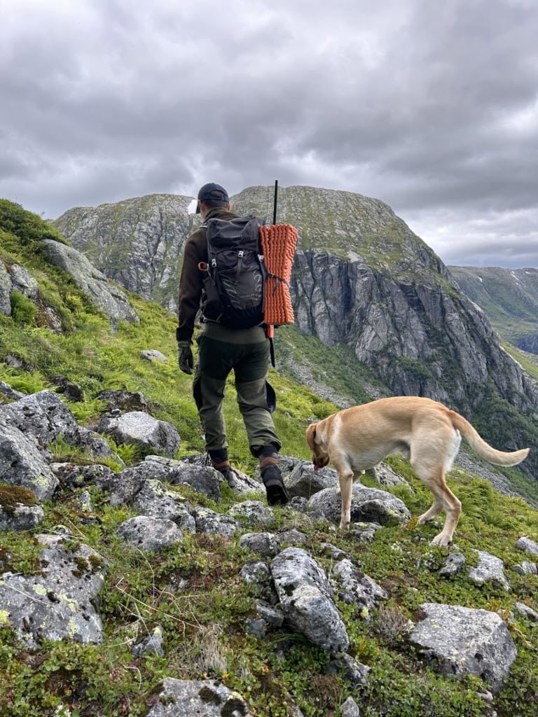Prosjektleder for Fjellbris på jakt i Hardanger