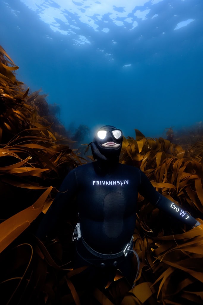 Frihet i vannet – Frivannsliv gjør havet tilgjengelig for flere