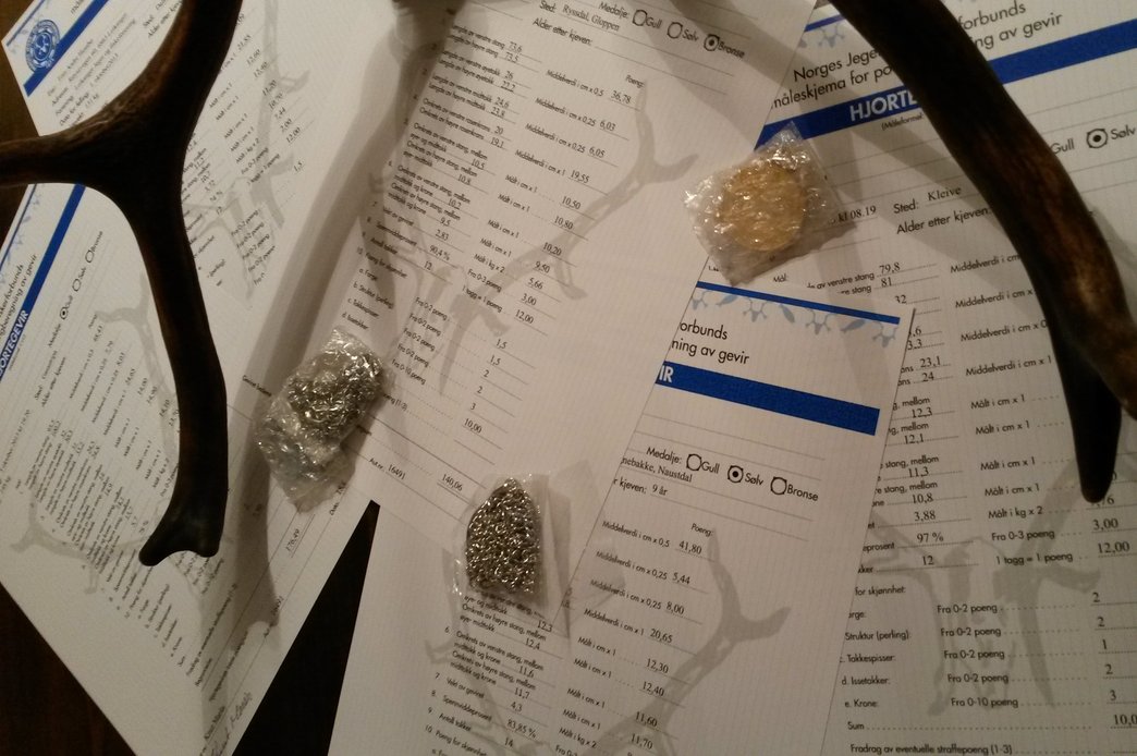 Trofebedømming Bergen