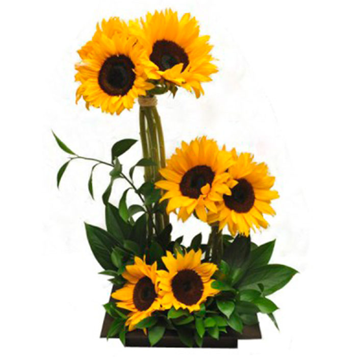 Arreglo-Girasoles-Lindos_Flores Cali es Cali