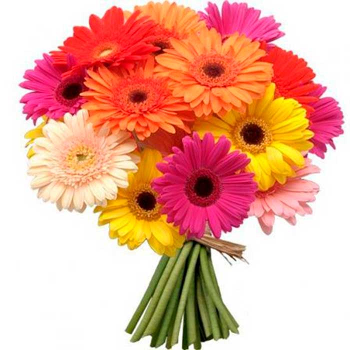 Ramo-flores-Gerberas_Flores cali es cali