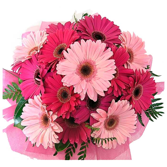 Ramo-gerberas-Cali_Flores cali es cali