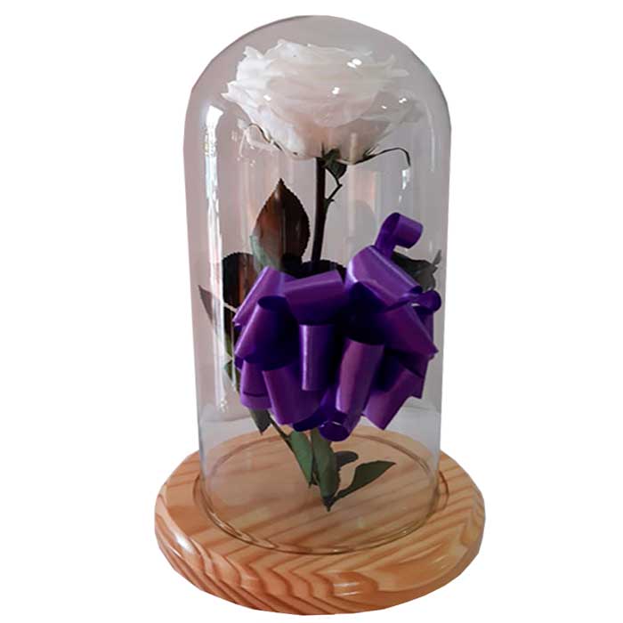 flor-de-condolencia_Floes-Cali-es-Cali