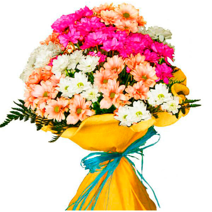 ramo-de-margaritas-Hermoso_Flore Cali es cali