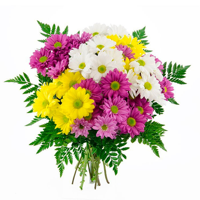 ramo-margaritas-Surtido_Flore Cali es cali