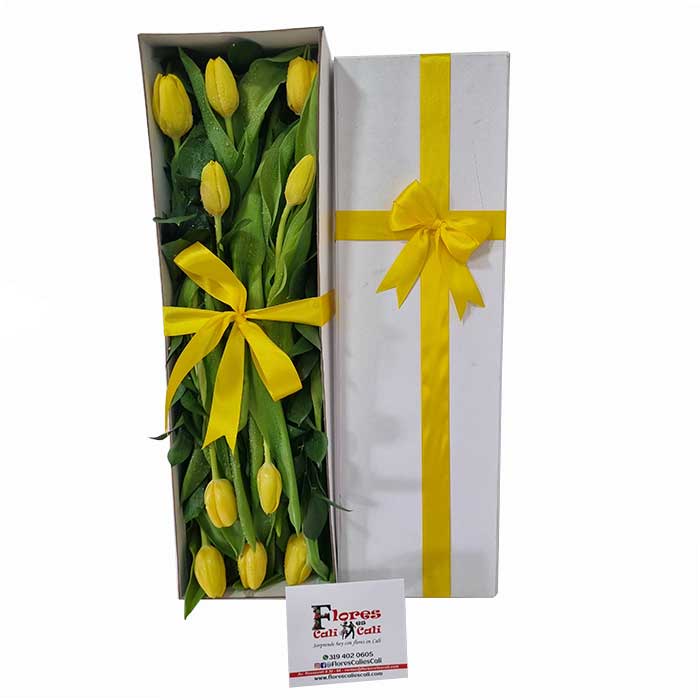 tulipanes-amarillos-Floristeria-en-Cali