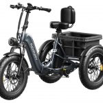 Puckipuppy Husky foldable trike ebike
