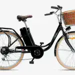 Ridel Cruzer beach-cruiser style ebike