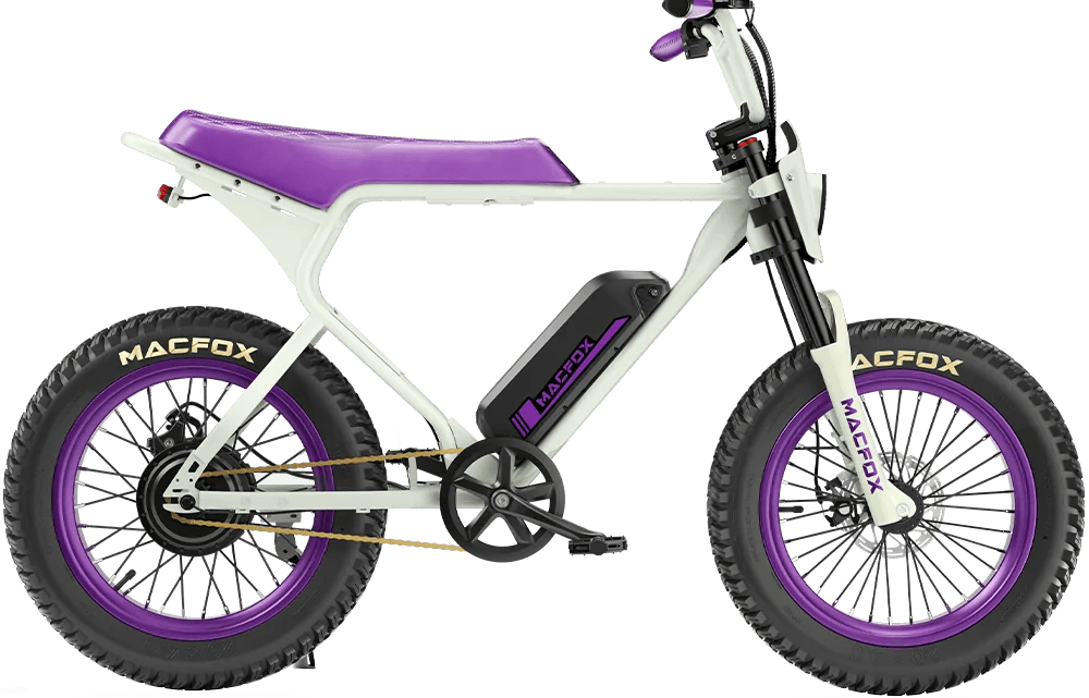 Macfox X1S BS.ZAY edition Wheelie eBike - FloridaBicycling.com