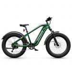 Hovsco HovAlpha fat tire ebike