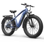 Qronge Thunder fattire ebike