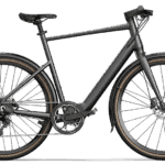 Fiido c21 ebike