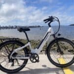 Puckipuppy Poodle eBike