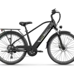 Jasion EB5 Roamer eBike