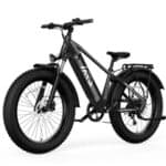 TST Defender eBike