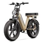 TST R7 Electric Cargo Bike
