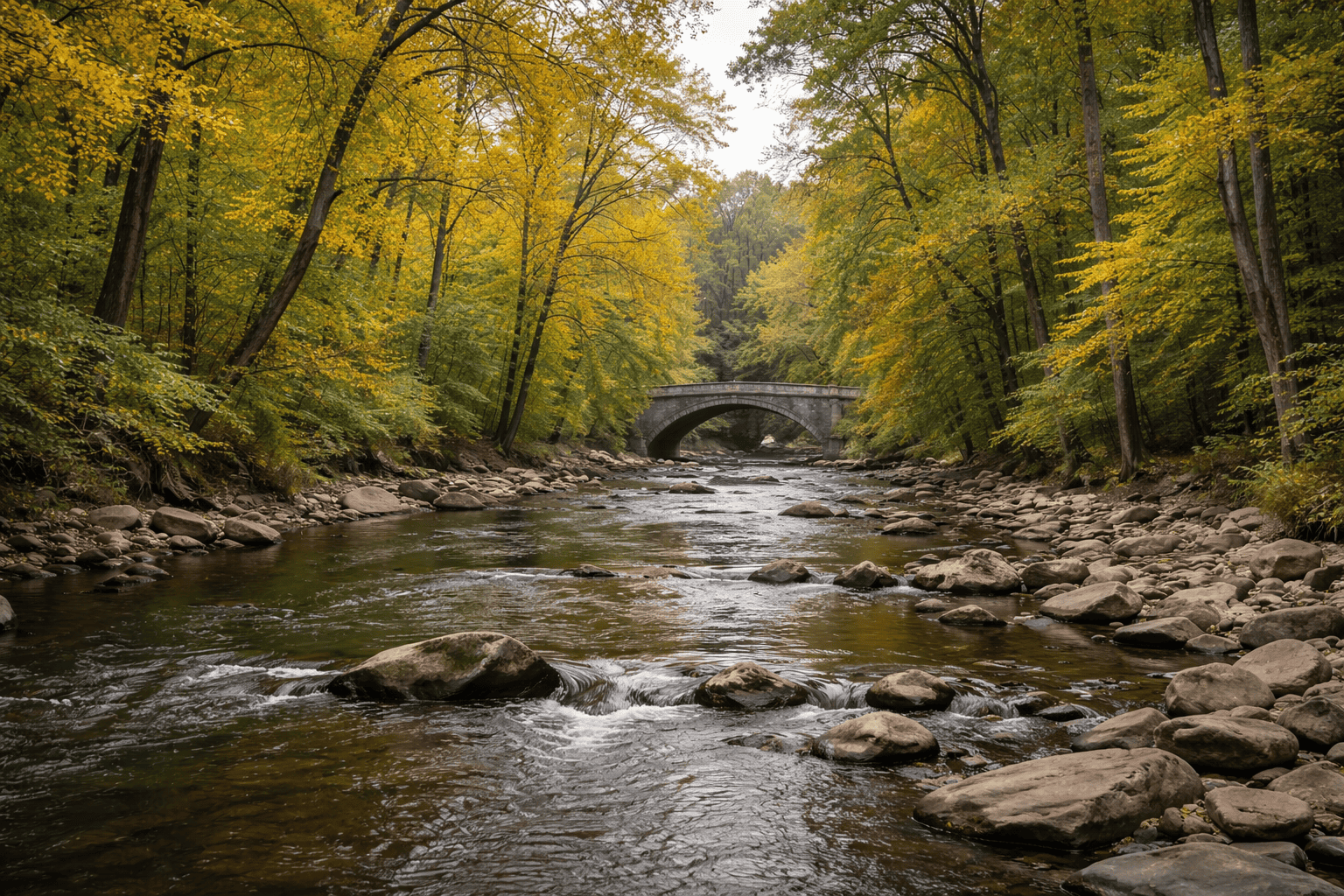  Brandywine Creek running through Brandywine Park in Wilmington Delaware with stone bridges and lush green trees in early autumn