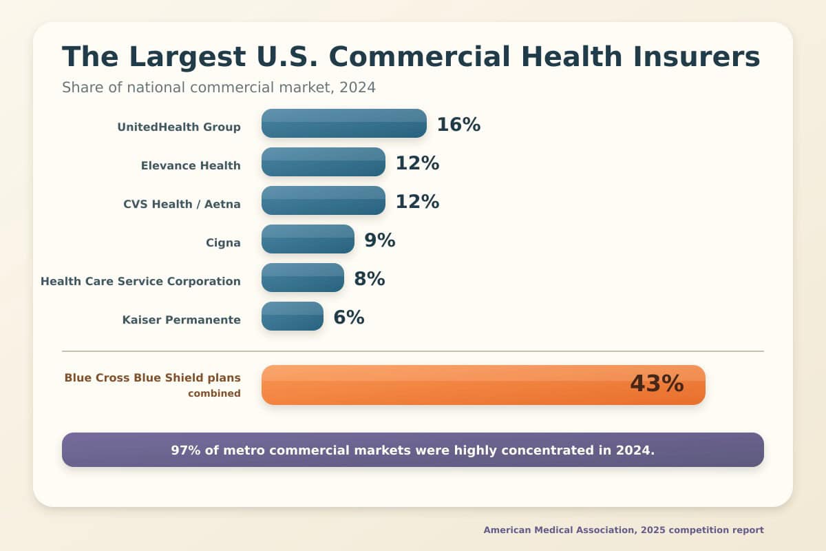 Chart showing top U.S. health insurers and market share percentages for 2024.