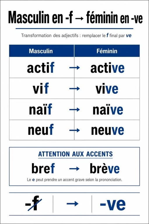 Infographie illustrant la règle du féminin des adjectifs en f
