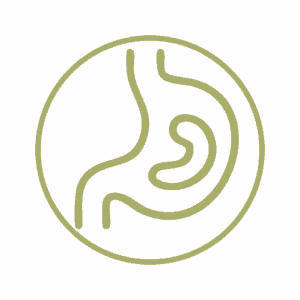 Gut Health & Digestion