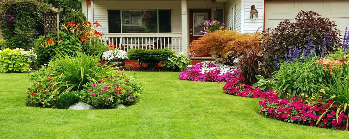 Jardin