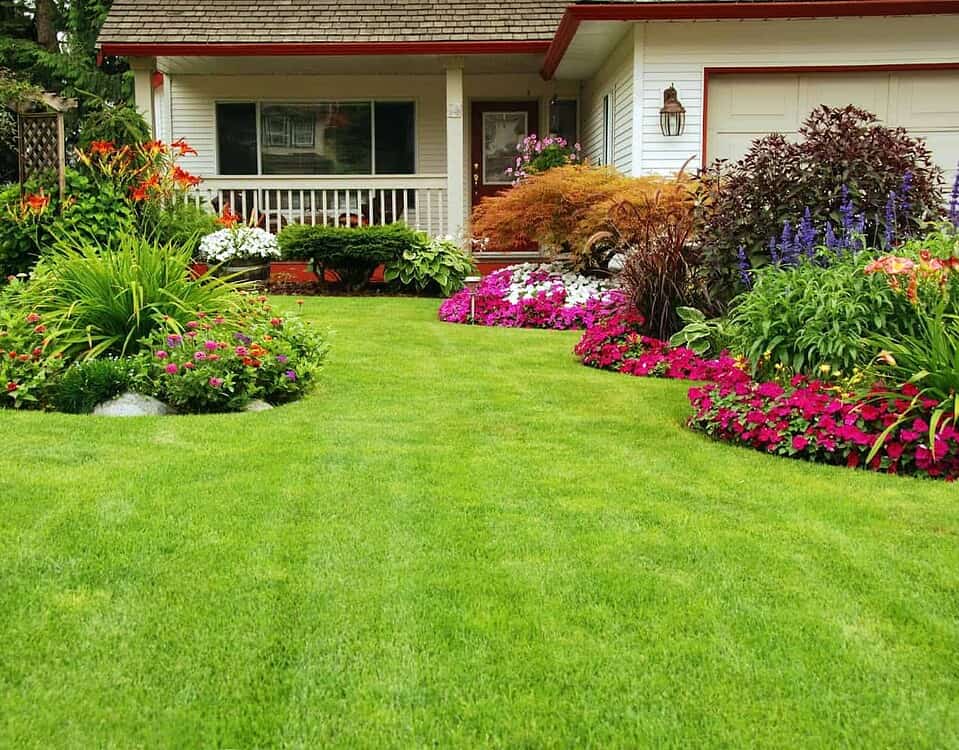 Jardin