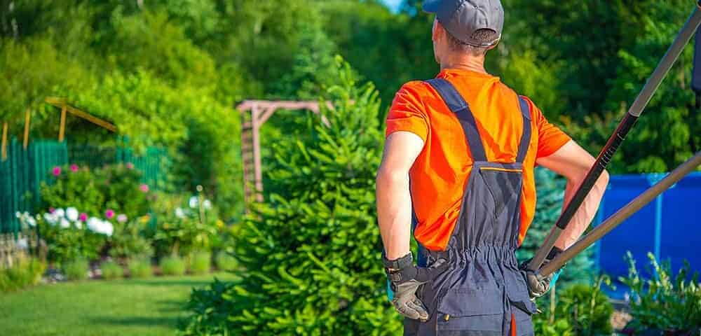 Raccolta foglie da giardino