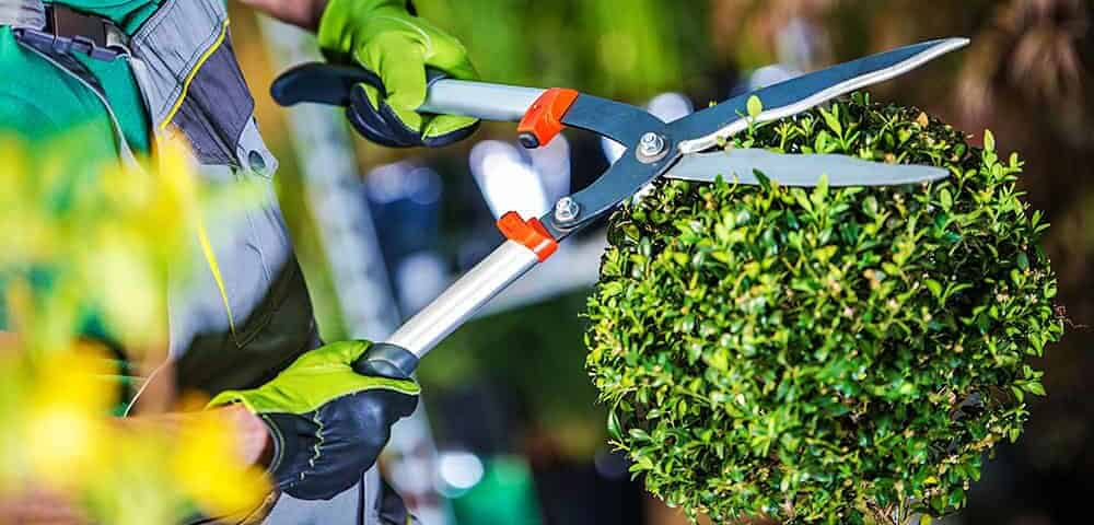 Realizzazione giardini