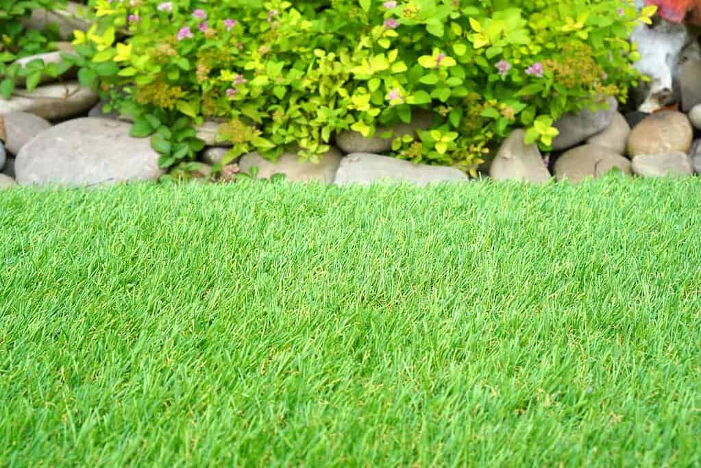 erba da giardino sintetica