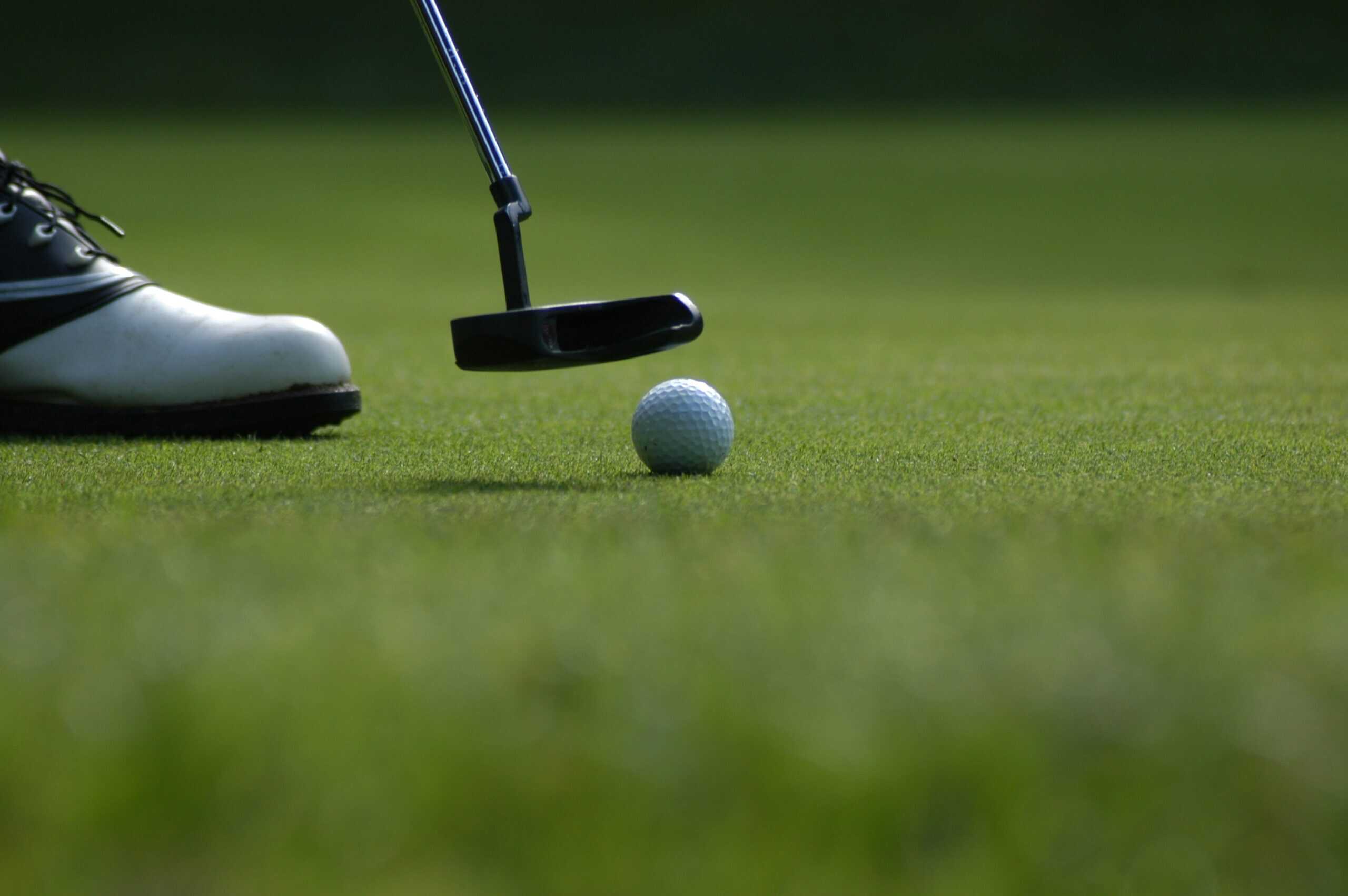 Close-up of a golf ball and putter on a green course