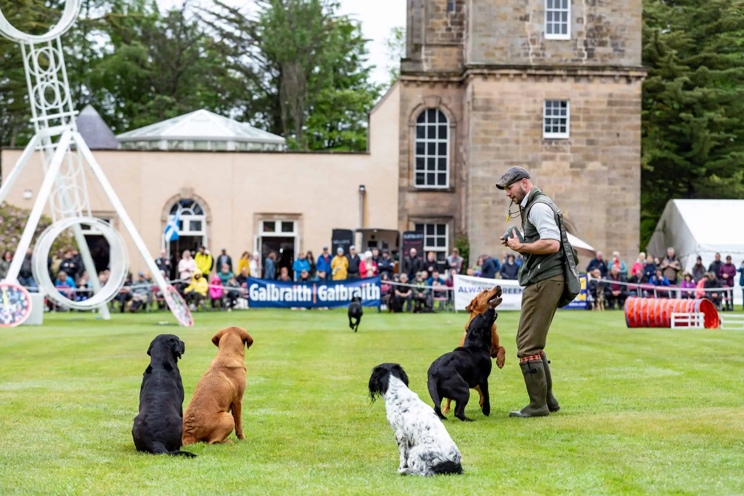 Trainer showcasing gundogs during the Gordon Castle Highland Games