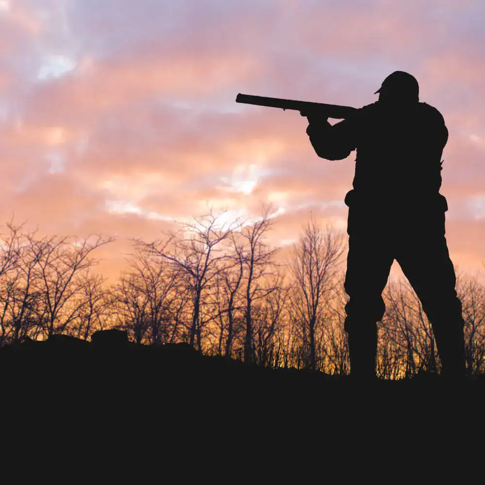 Silhouette of a shooter aiming at sunset during game shooting at Gordon Castle