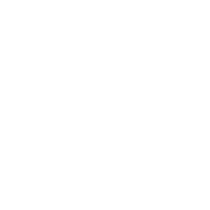 Logo of Union Corners partner Boston Financial