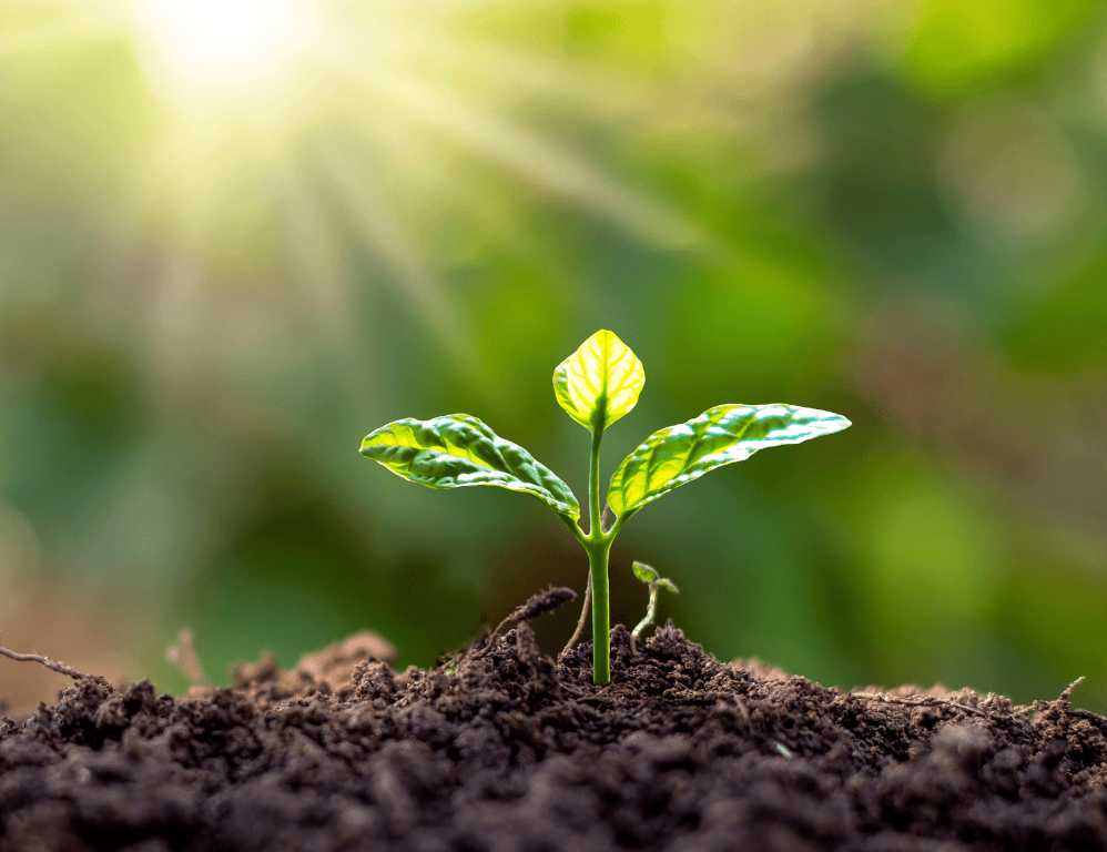 Wills aren’t just for the old: Why younger adults need a Will