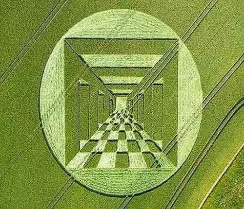 crop_circle48