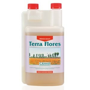 Canna Terra Flores