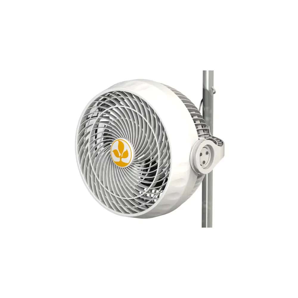 Secret Jardin Monkey Fan 30W