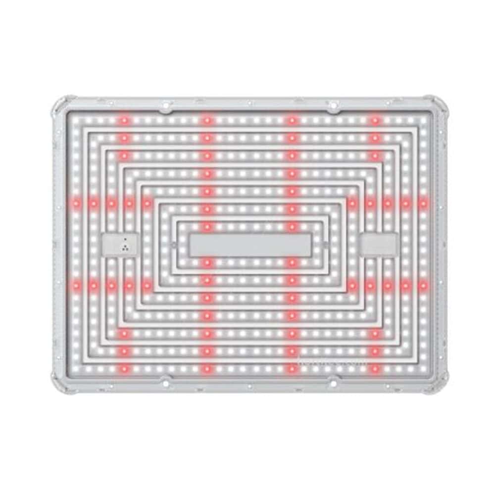 Cosmos X200 – Bild 2