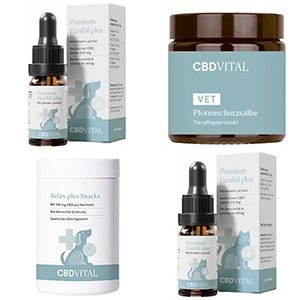 CBD für Hunde und katzen