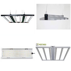 LEDs