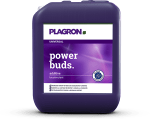 Plagron Power Buds 5 ltr