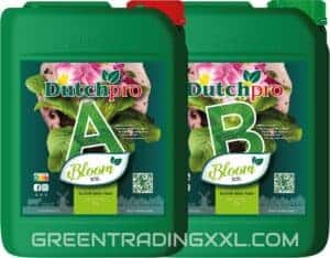 DutchPro Erde/Soil Bloom A+B 5 ltr