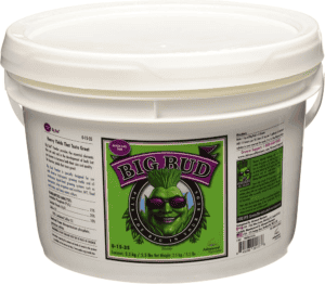 Advanced Nutrients Big Bud Powder 2,5 kg