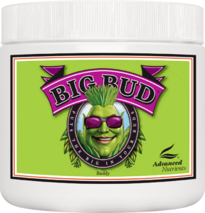 Advanced Nutrients Big Bud Powder 500 gr