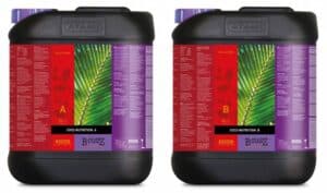 Atami B'cuzz Cocovoeding A+B 5 ltr