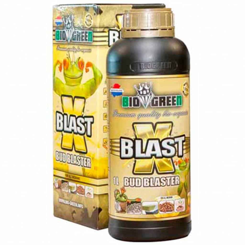 Bio Green X Blast Bud Blaster, een biologische voedingsstof voor planten, is verpakt in een zwarte fles met een inhoud van 1 liter. Dit product is ontworpen om de bloei en de ontwikkeling van bloemen te stimuleren. De fles is voorzien van een kunststof dop en is omgeven door een doos met een opvallend goudkleurig ontwerp. X Blast Bud Blaster bevat een mix van natuurlijke ingrediënten en is geschikt voor gebruik in zowel binnen- als buitentuin. Het product is gericht op duurzaamheid en milieuvriendelijkheid.