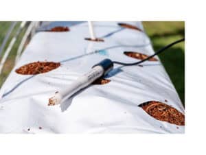 Handmatige pH-meter met een wit transparante sensor, geplaatst op een blauwe en witte kweekmat met groeven voor plantbedden. De meter is aangesloten op een zwart snoer en is ontworpen voor gebruik in hydroponische en aquaponische systemen. Dit product is uitgevoerd in duurzame materialen. De pH-meter biedt nauwkeurige metingen voor optimale plantgroei en is geschikt voor elke kweker die de bodemgezondheid wil monitoren.